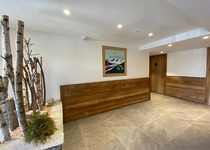 Spacieux Proche Des Pistes Avec Garage Et Wifi A 1650 - Fr-1-563-112 *